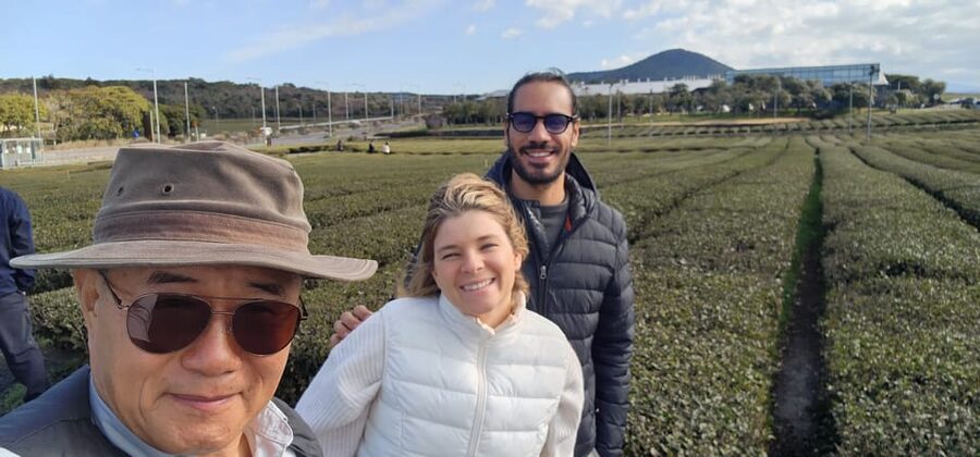 Jeju Island: Full-Day Customizable Private Guided Car Tour - Who Should Book This Private Jeju Day Tour
