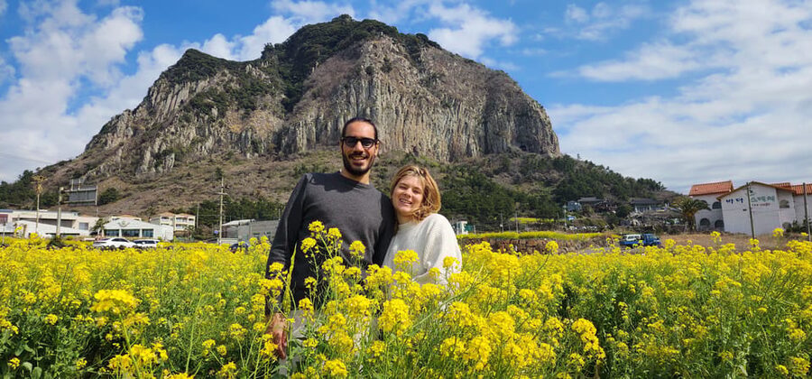 Jeju Island: Full-Day Customizable Private Guided Car Tour - Dongmun Traditional Market: Food, Souvenirs, and Local Rhythm