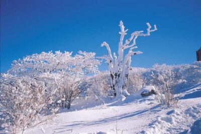 Full-Day East Jeju Bus Tour with Entry Fees