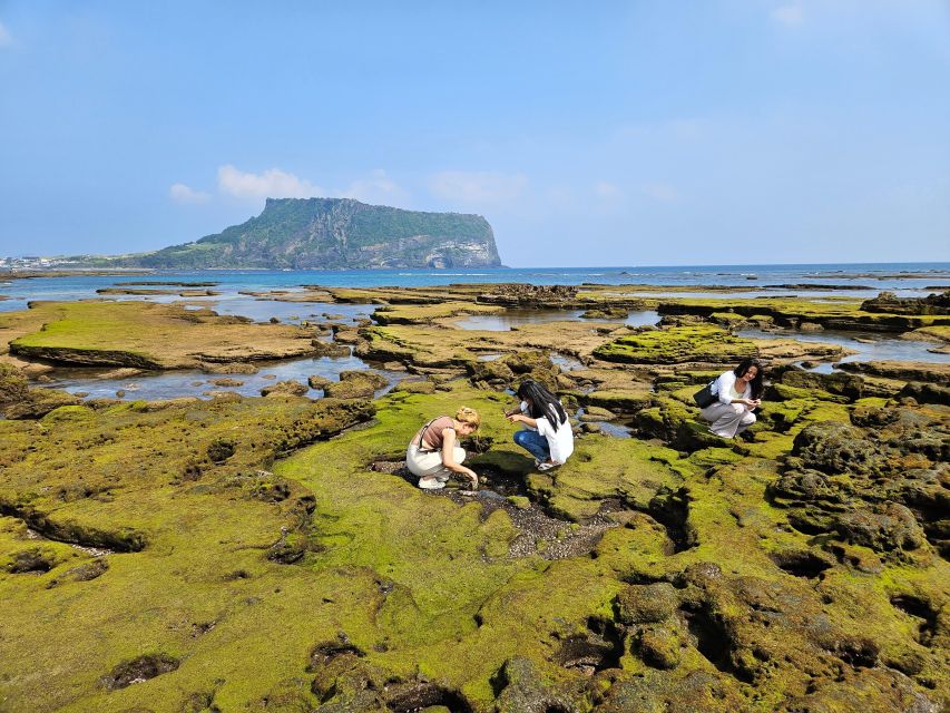 Jeju Island: Full-Day East Jeju Bus Tour with Entry Fees - Seongeup Folk Village: slow down and notice the details