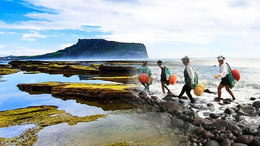 Jeju Island: Full-Day East Jeju Bus Tour with Entry Fees - Seongsan Ilchulbong climb: the UNESCO part you earn