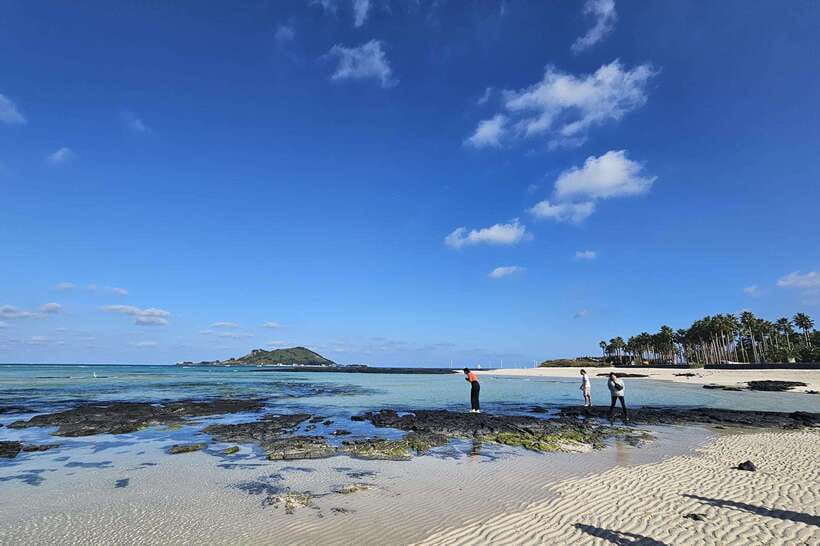 Jeju Island: Full-Day SouthWest Bus Tour with Entry Fees - Guides, group size, and the small touches that matter