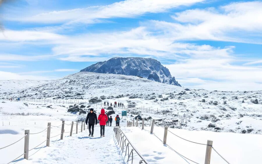 Jeju Island: Full-Day SouthWest Bus Tour with Entry Fees - Why a Southwest Jeju day tour makes sense