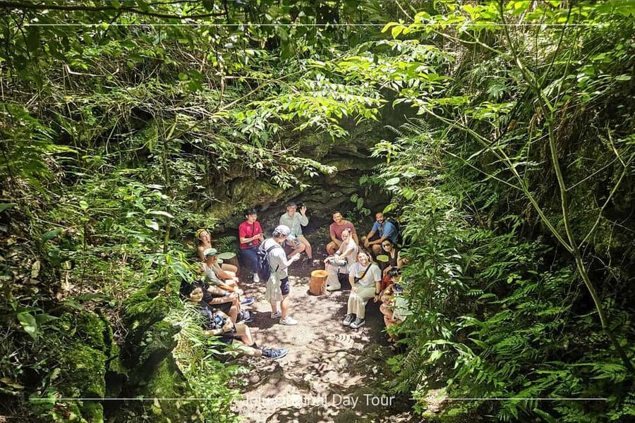 Jeju Island: Full-Day SouthWest Bus Tour with Entry Fees - Price and value: what your $43 really covers