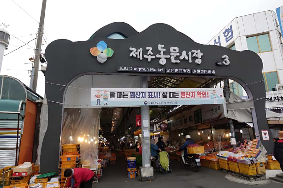 Jeju Island: Full Day Tour for Cruise Ship Passengers - Price and logistics: why $60 can make sense for a cruise shore day
