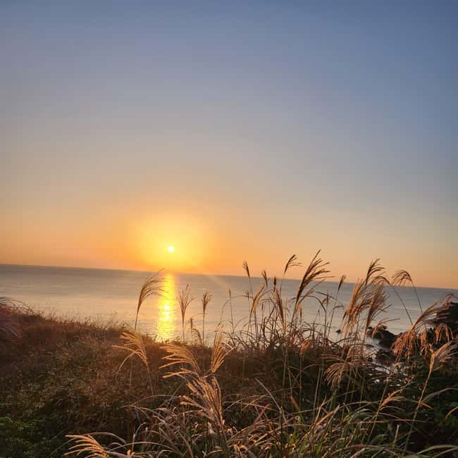 JEJU ISLAND : Higlights SUNRISE guided Tour - Value check: does $78 make sense for you?