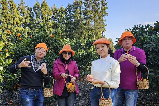 Jeju island Jumbo taxi Private Tour with Mr.Hong west of jeju - Your Private Jumbo Taxi Day, From Pickup to Drop-Off