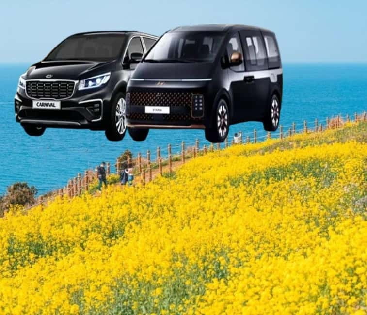 Jeju Island: Private Car Charter Tour - Eastern Route plan: Udo Island, Seongsan Ilchulbong, lava tubes, and beaches