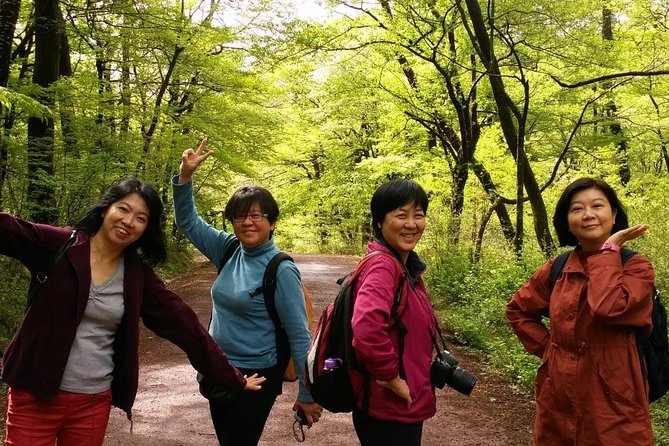 Jeju Island Private Half day Transport : South / West - Ocean Views and Basalt Beauty: Oedolgae and Daepo Jusangjeolli Cliff