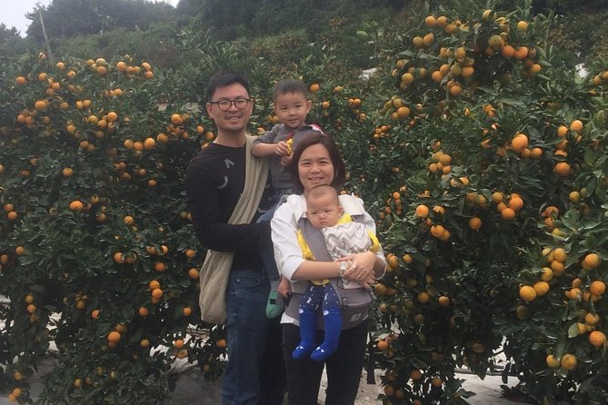 Jeju Island Private Taxi Tour : 2 Full days - West and South Jeju: tea, volcano domes, and dramatic coasts