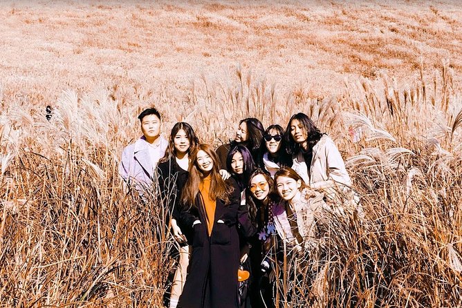 Jeju Island Private Taxi Tour : 3 Full days - Key points at a glance