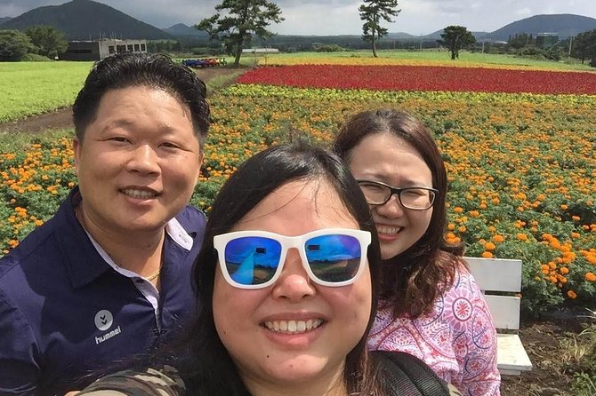 Jeju Island Private Taxi Tour : 3 Full days - Where this tour shines, and who should book it