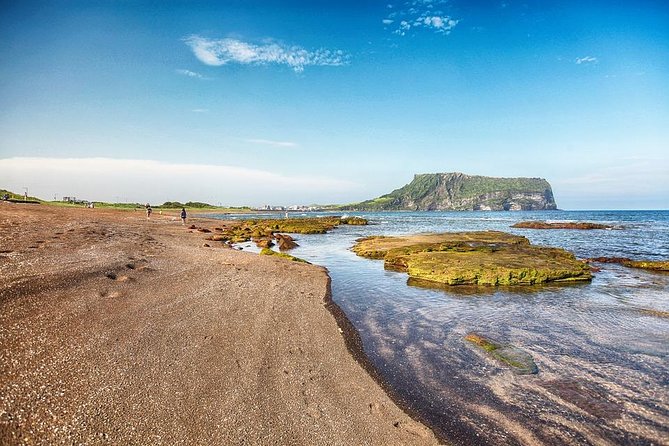 Jeju Island Private Taxi Tour : UNESCO Day Tour - Manjanggul lava tube, Eco Land, and Jeju’s weather plan B