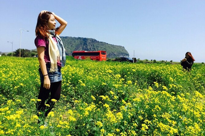 Jeju island Private Tour - UNESCO Day Tour & Haenyeo Performance - Manjanggul Cave, Jeju Stone Culture Park, and Seongeup Folk Village