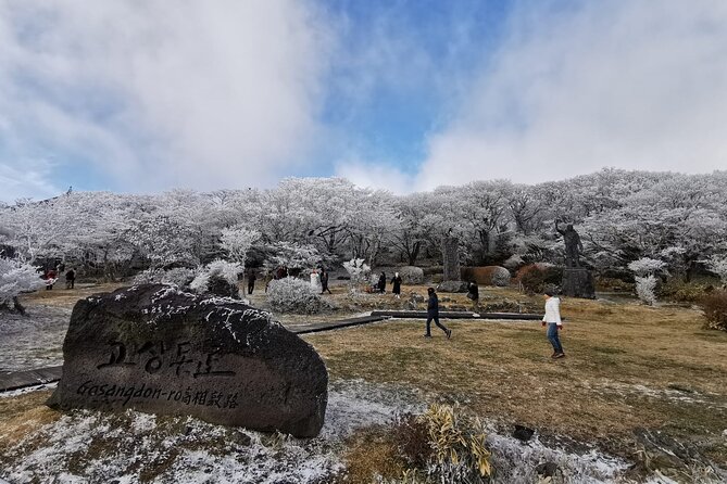Jeju island Private Tour - UNESCO Day Tour & Haenyeo Performance - Lunch, photos, and the real-life pace