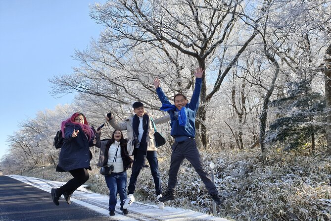 Jeju island Private UNESCO Tour - For Cruise customer - Seongeup Folk Village, where you slow down