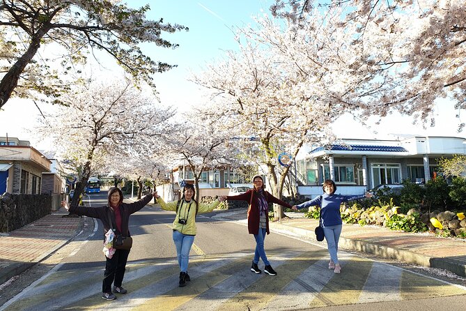 Jeju island Private UNESCO Tour - For Cruise customer - Manjanggul Cave UNESCO stop, and what to do if it is closed