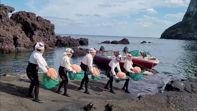 Jeju Island Private VIP Day Tour with Tickets - Private vehicle comfort: the underrated advantage