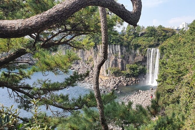 Jeju Island Taxi Join Tour - Seongsan Ilchulbong: Sunrise Peak and the crater bowl views