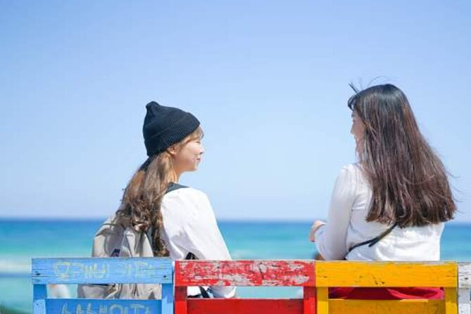 Jeju Island Taxi Join Tour - Choosing East, West, or South, plus smart swap rules for closures