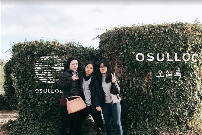 Jeju Island Taxi Tour - West Day Tour - Hallim Park Tulips and the Easy Stroll Energy