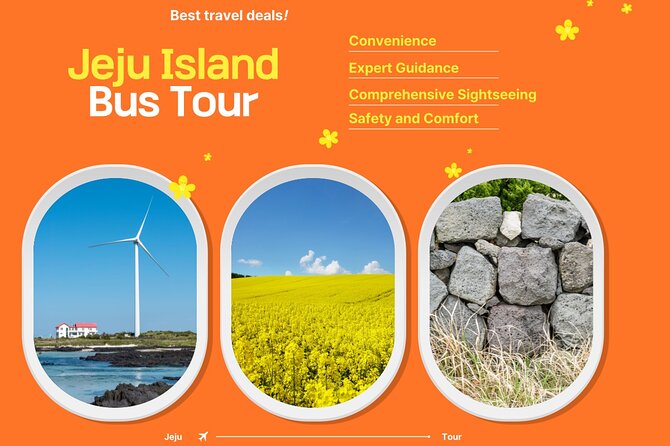 Jeju Island UNESCO Heritage Bus Tour - Pickup, vehicles, and the English question (English guide vs driver)
