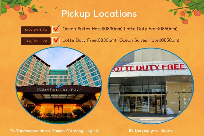 Jeju Island UNESCO Heritage Bus Tour - Value and pacing: what this tour does well for first-time Jeju visits