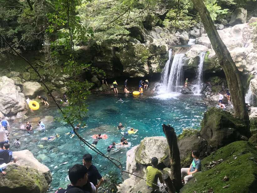 Jeju Island: Van Tour with a Guide Who Most Loves Jeju - Key things that make this tour worth your time
