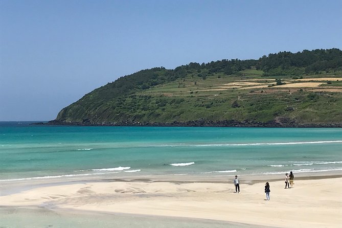 Jeju island: Van tour with a guide who the most loves JEJU - Seopjikoji cliff path, K-drama vibes with real sea air