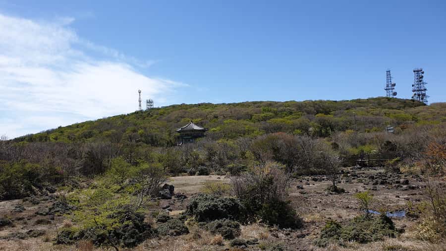Jeju: Mt. Hallasan Hike and UNESCO Sites Day Tour - Price and value: why around $100 can work for this kind of day