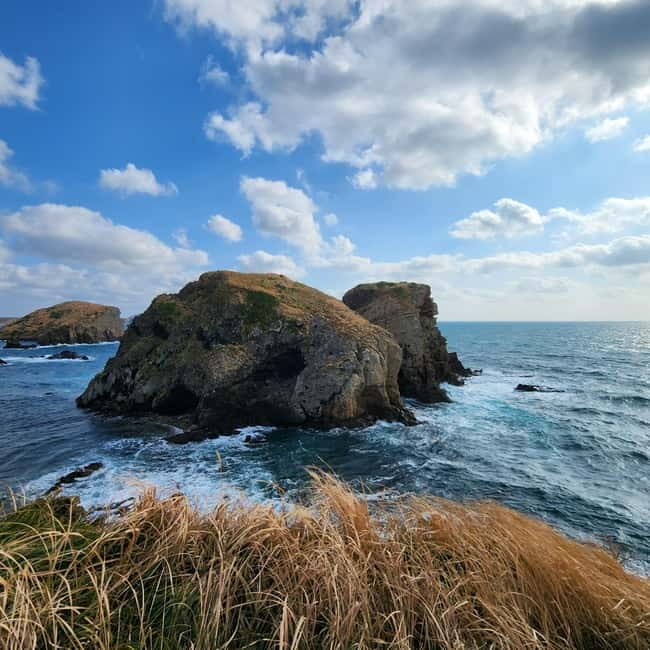 Jeju: Popular Sightseeing Private Car Charter Tour - Family-friendly days: Snoopy, rail bike, aquarium, and theme park options
