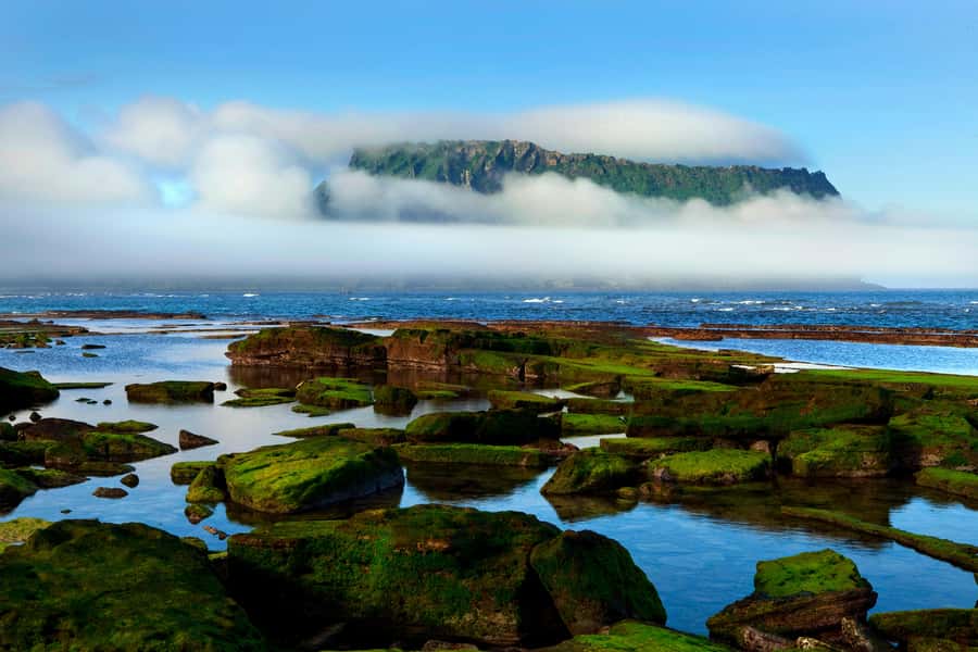 Jeju Premium Small Group UNESCO Day Tour - East - Why the Jeju East UNESCO Day Tour Makes Sense