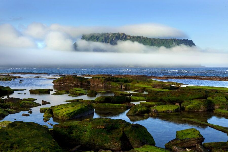 Jeju Premium Small Group UNESCO Day Tour - East - Lunch Choices: Jeju Black Pork and Vegetarian-Friendly Options
