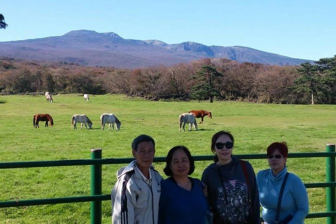 Jeju Private Full day tour of UNESCO Day Tour - Stop 5: Jeju Stone Park, and why it matters while Manjang Cave is closed
