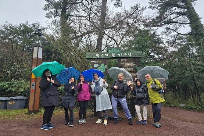Jeju Private Half-Day Tour for Cruise Customers - East Jeju in 4 to 5 Hours, Built for Short Port Days