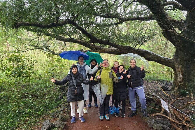 Jeju Private Half-Day Tour for Cruise Customers - Seongeup Folk Village: Old Jeju Living Heritage at No Cost