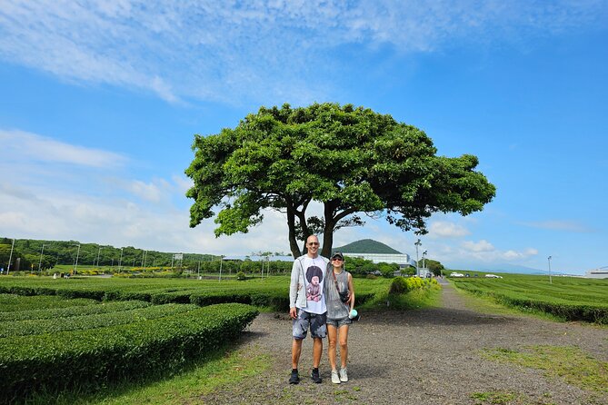 Jeju Private Tour Package-South of Jeju(Mt.Hallasan & Waterfalls) - Jeongbang Falls: the one that drops straight into the sea