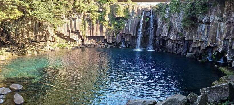 Jeju: Private Tour with an English Guide and a Vehicle - Bijarim forest or Manjang cave: choose shade or underground drama