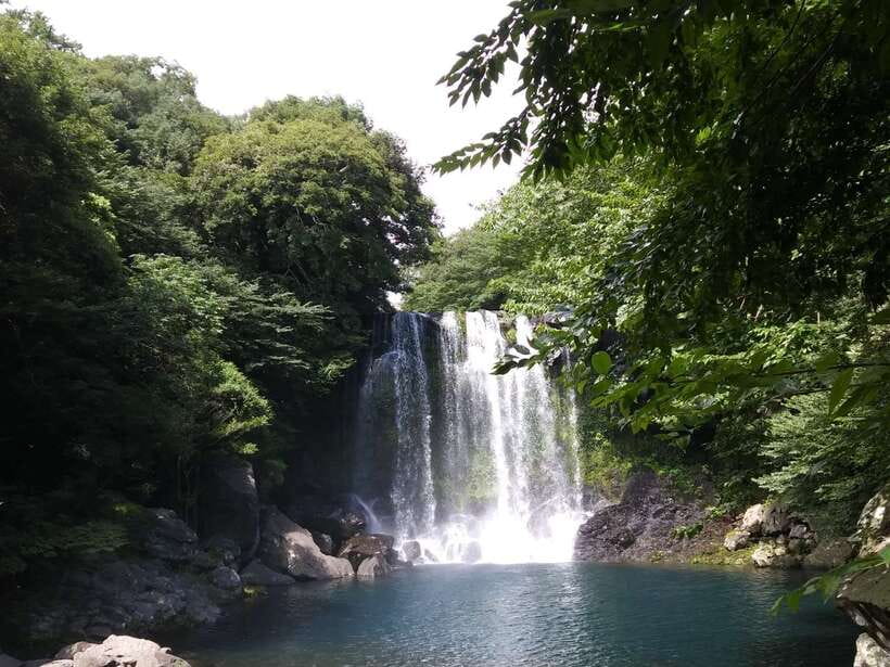 Jeju: Private Tour with an English Guide and a Vehicle - Hallasan National Park, Oedolgae Rock, and Seogwipo Olle Market: the West and South story
