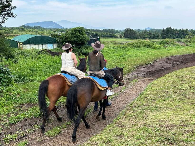 Jeju: Private Tour with an English Guide and a Vehicle - Cheonjeyeon Waterfall plus O’Sulloc Tea Farm or Sanbangsan: end with a memorable taste and view