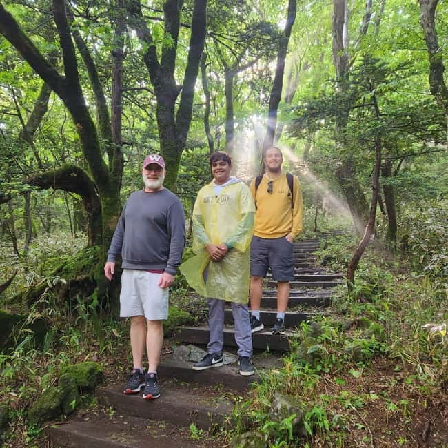 Jeju: Southern Top UNESCO Spots Bus Tour - Why this Jeju south UNESCO loop works so well in 10 hours