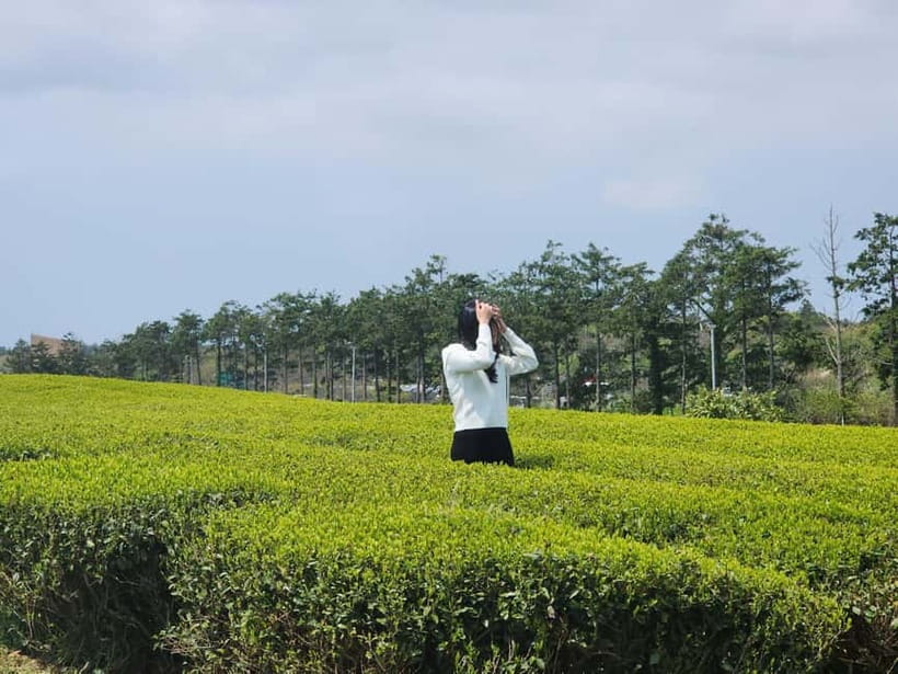 Jeju: Southern Top UNESCO Spots Bus Tour - Eongdeongmul Valley: basalt walls and quiet spring water