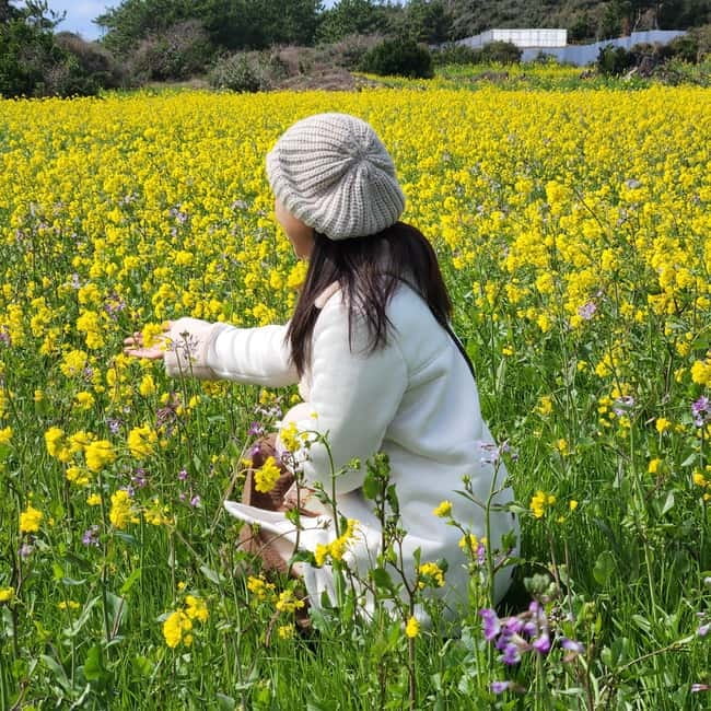 Jeju: Southern Top UNESCO Spots Bus Tour - O’sulloc Tea Museum: the smart break from driving