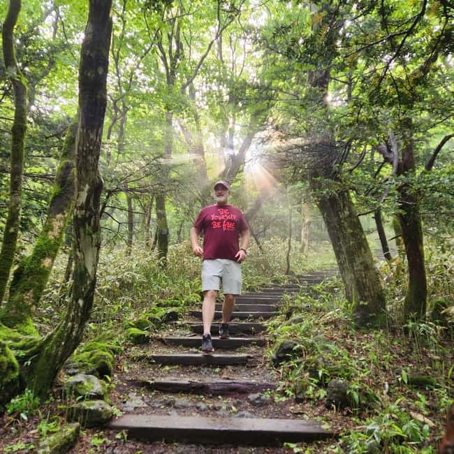 Jeju: Southern UNESCO Geopark Day Tour - Duty free, then Jeonnong-ro blossoms, quick extras you can use or ignore