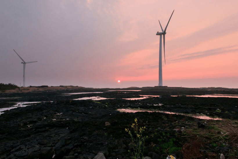 Jeju Sunset Tour : Olle Trail half day tour - The pace: comfortable walking with a sunset payoff
