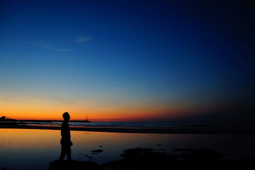 Jeju Sunset Tour : Olle Trail half day tour - Where you’ll likely want to go after Aewol Cafe Street