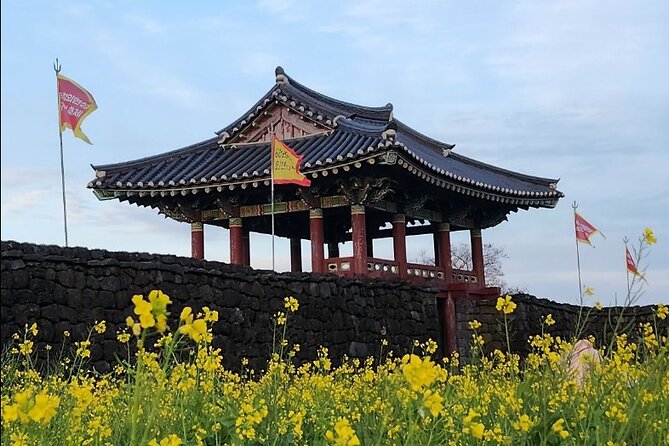 Jeju Taxi Tour KJ with Flexible scheduling - Day 1: Seongsan Sunrise Peak, Hamdeok Beach, and volcanic scenery options
