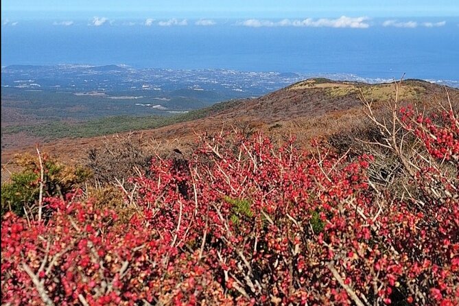 Jeju Taxi Tour KJ with Flexible scheduling - Creating your flexible Jeju route without losing the plot