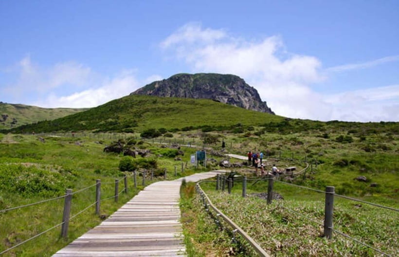 Jeju: UNESCO Day Tour for Cruise Guests - Hallasan National Park, from wetland views to a short hike pace