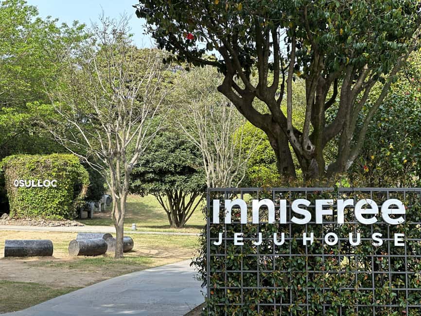 Jeju: West Healing UNESCO Small Group Tour & DolphinWatching - Price and What You Actually Get for $110